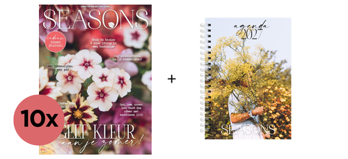 10x Seasons