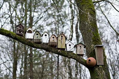 Vogelnestkastjes. Bird nest boxes.