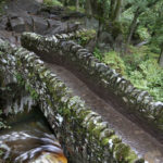 brug-steen-bomen-natuur
