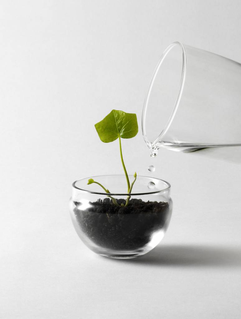 design-house-stockholm-grow-mini-greenhouse (1)