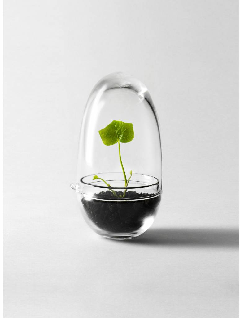 design-house-stockholm-grow-mini-greenhouse