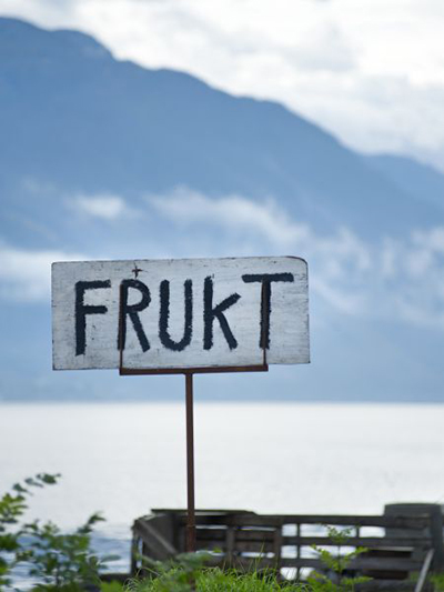 fjord, noorwegen, fruitbord