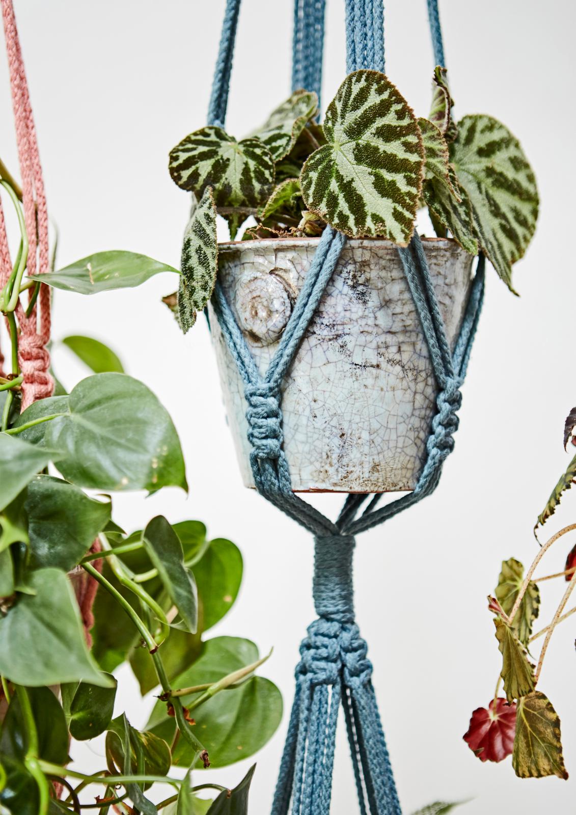 Interpretatief Bijdrager Maxim Breng kleur in je huis met deze DIY macramé plantenhanger | Seasons