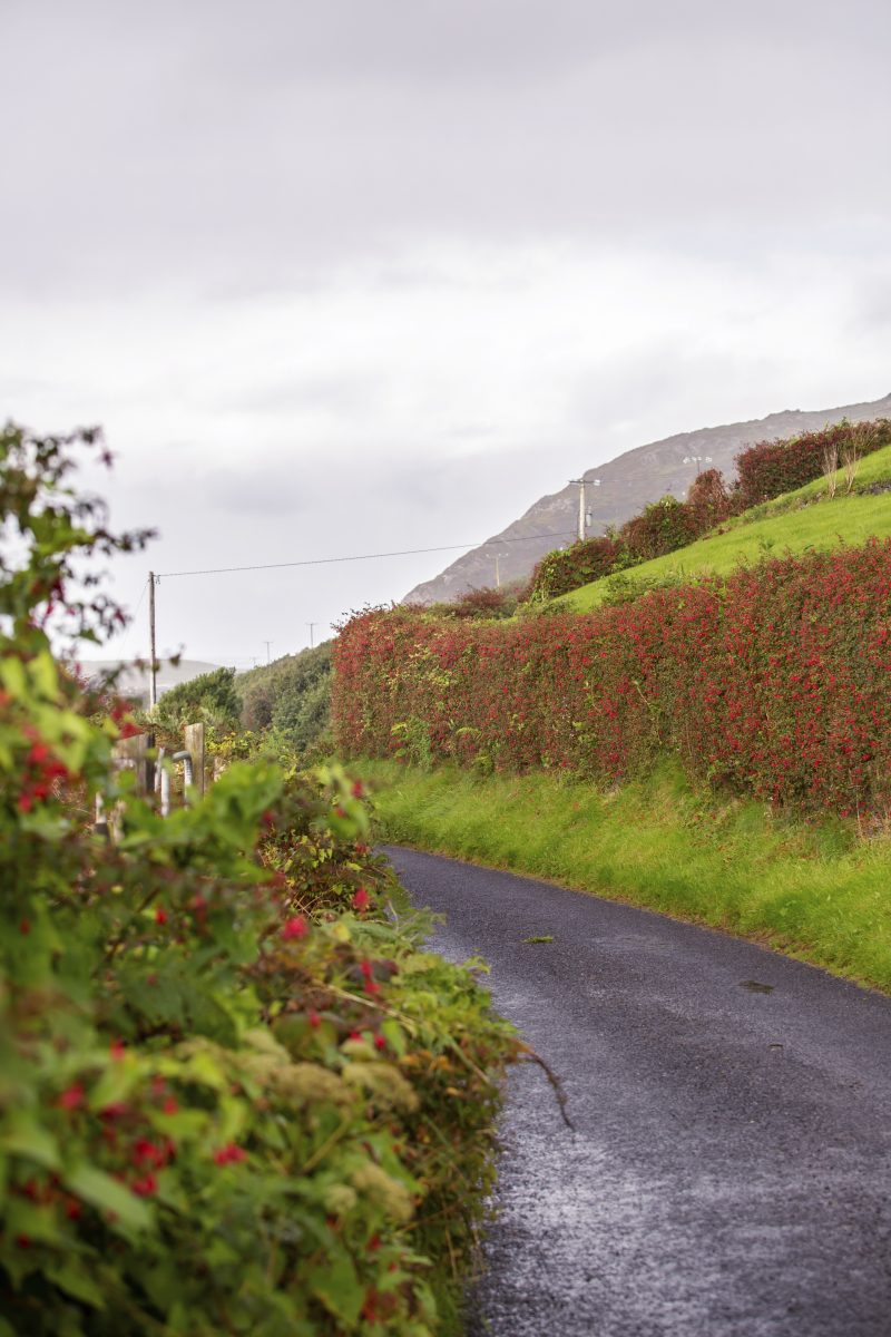 roadtrip Ierland