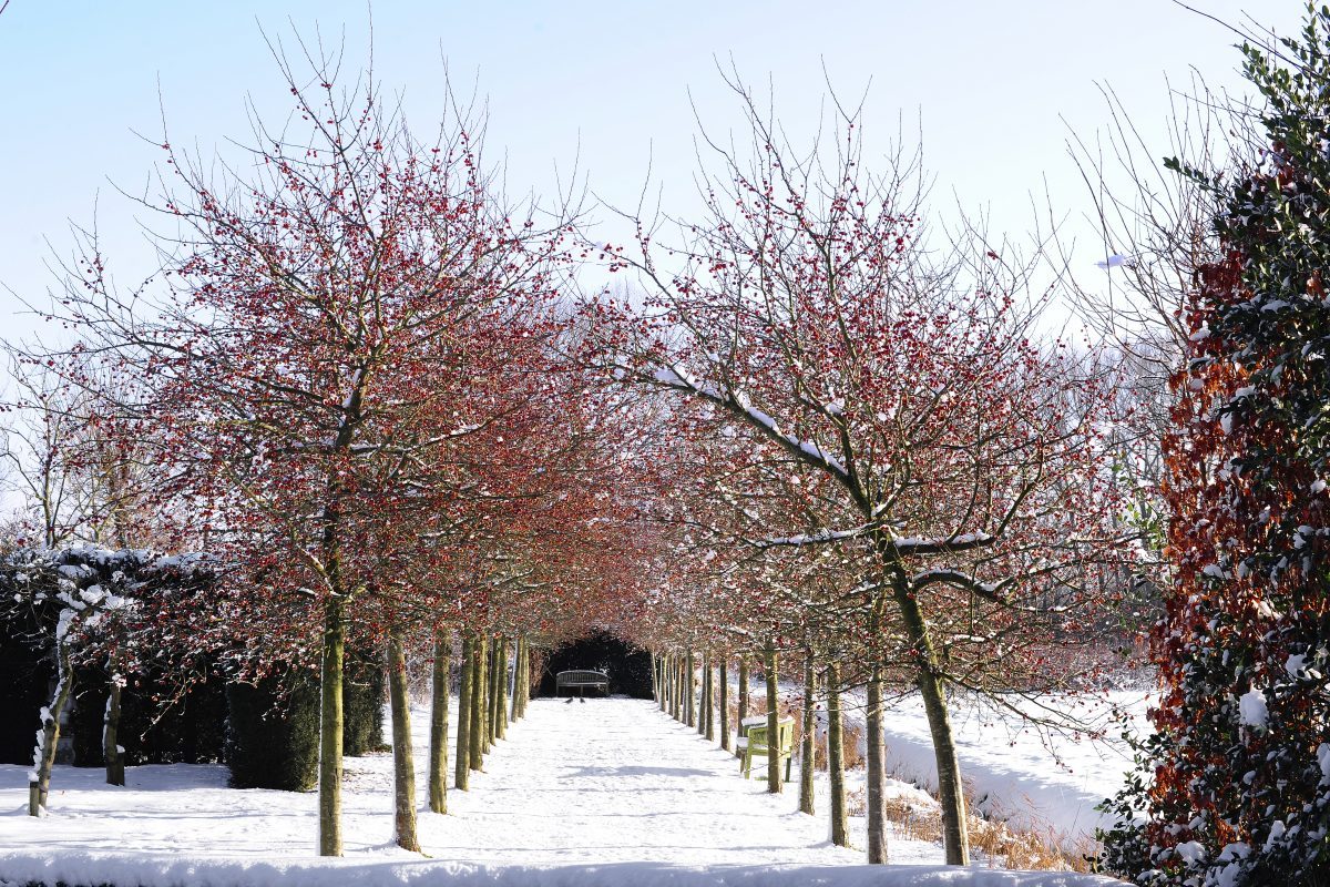 wintertuin