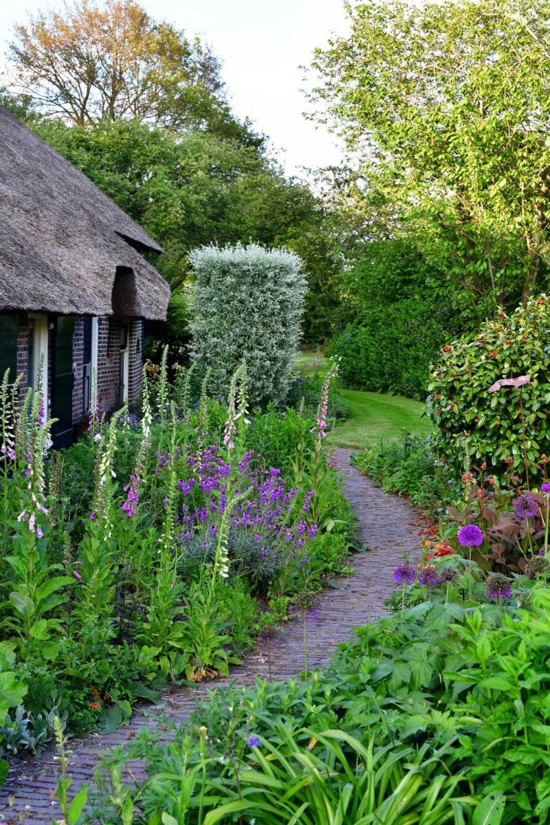 Romantische boerderijtuin