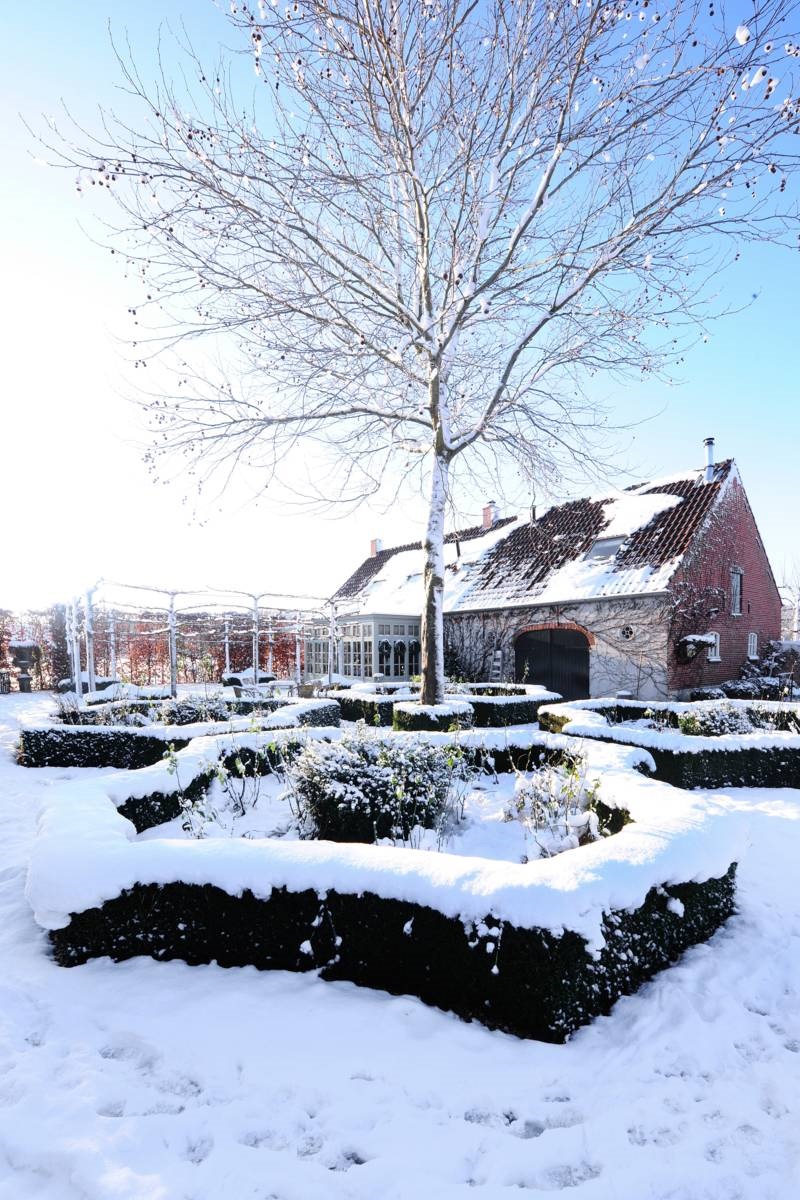 De Hazelhof - sneeuwtuin - winterwit