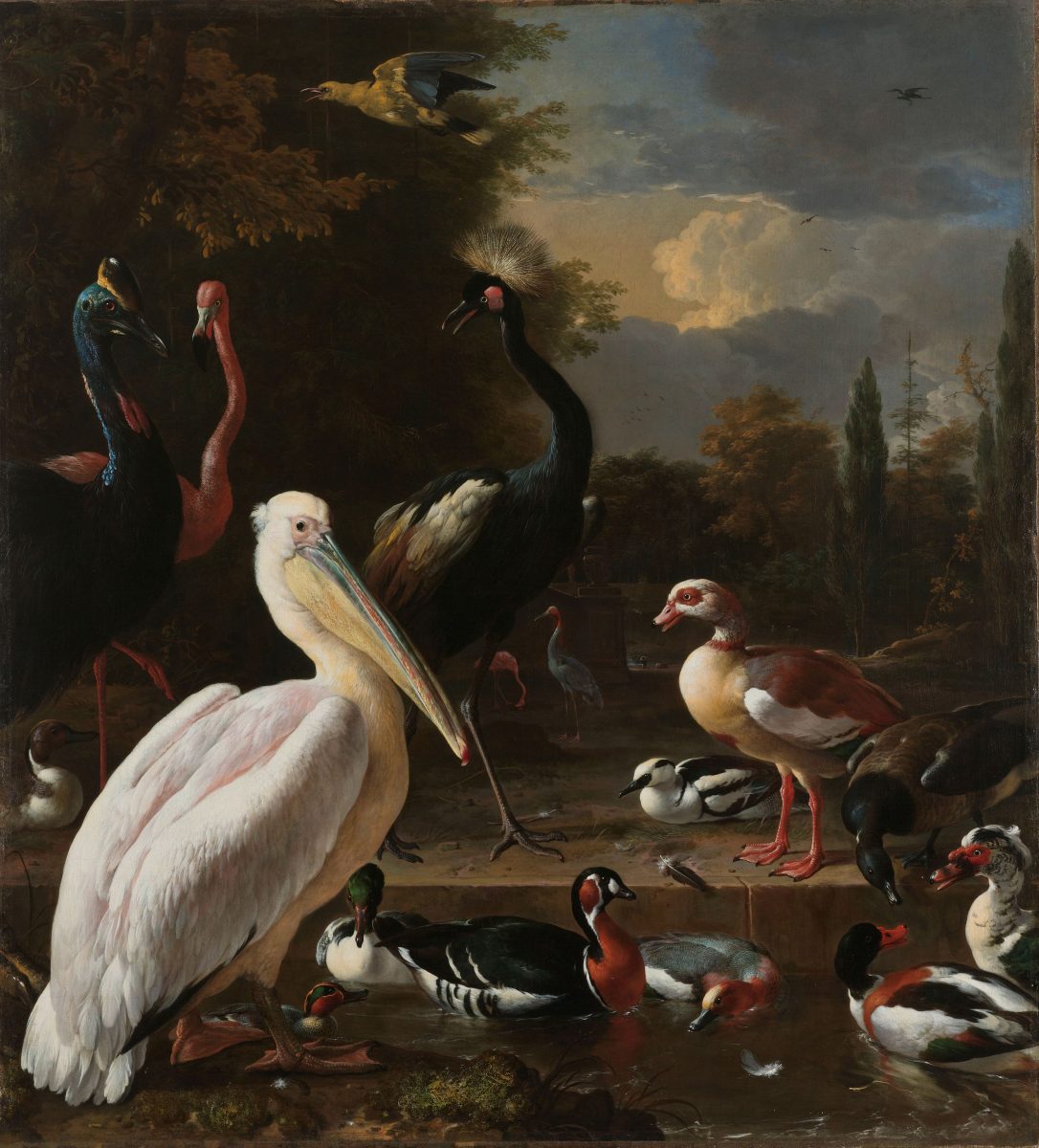 Een pelikaan en ander gevogelte bij een waterbassin, bekend als ‘Het drijvend veertje’, Melchior d'Hondecoeter, ca. 1680