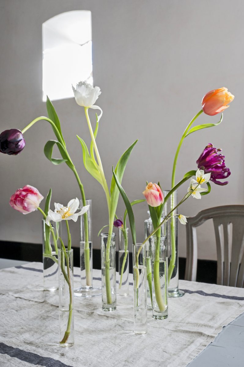 middelen symbool Gelijk Zo hou je tulpen op de vaas lang goed - om optimaal van ze te genieten