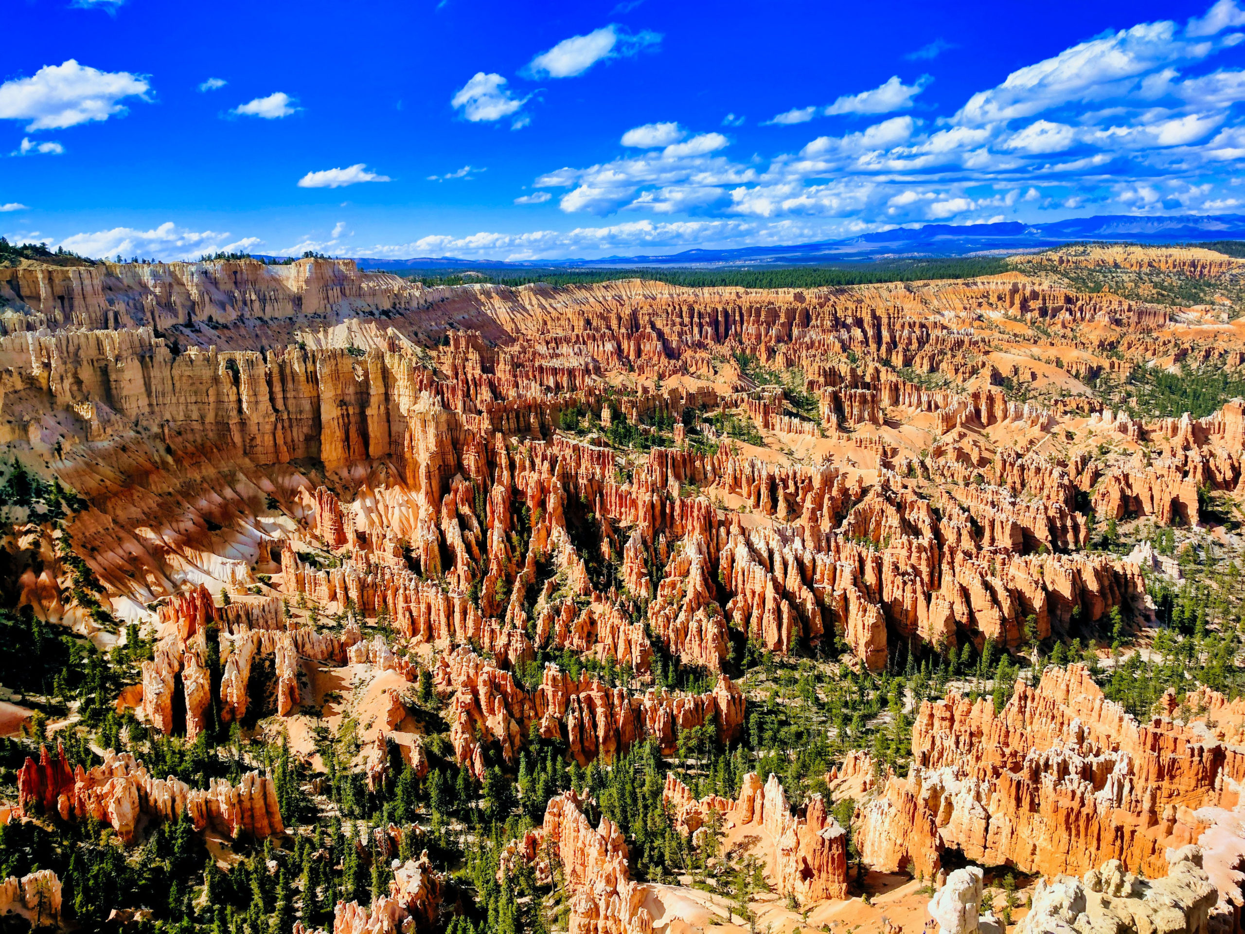 Een aantal nationale parken in de Verenigde Staten en Zweden kun je virtueel bezoeken. Zoals Bryce Canyon in de VS en Abisko National Park in Zweden.