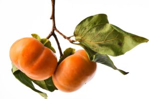 fruitbomen - exotische soorten - kaki - iStock