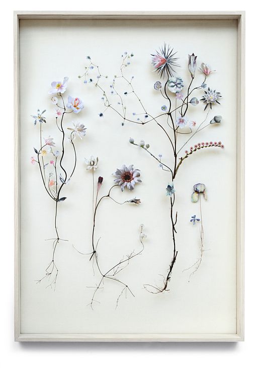 Gedroogde bloemen: een kunstwerk voor aan je - Seasons