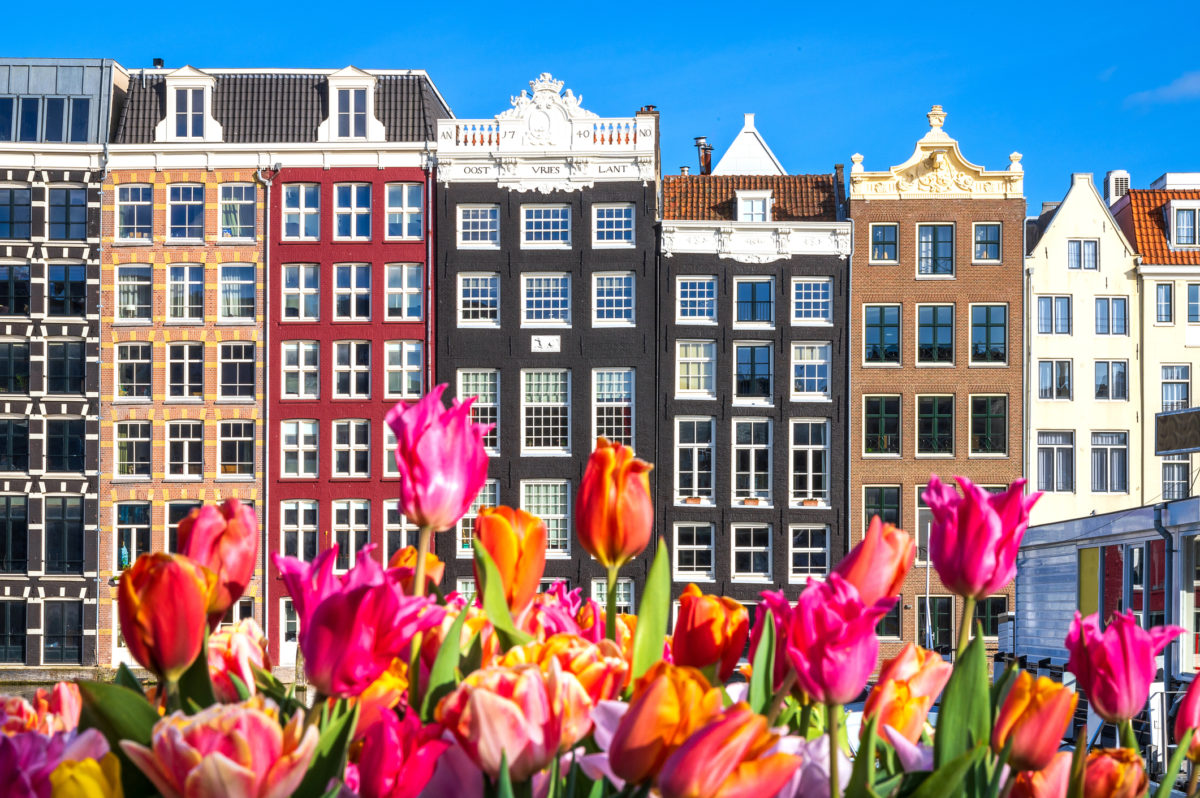 Tulpen Amsterdam
