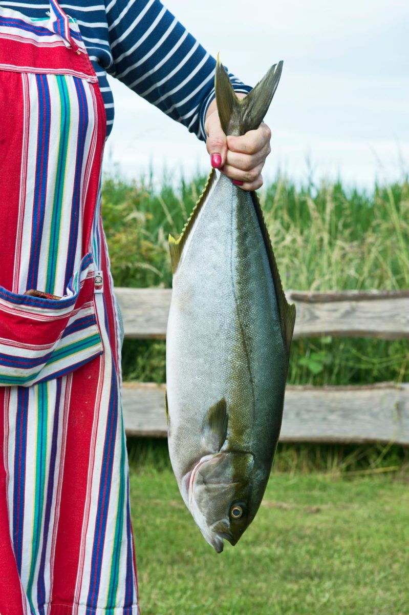 culinaire roadtrip Tholen