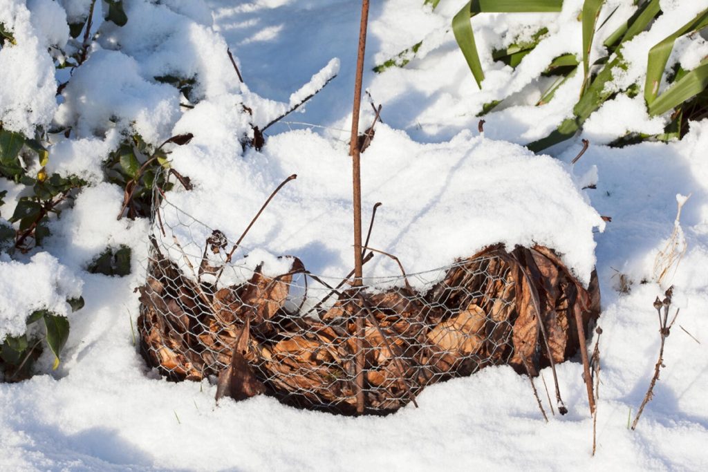 de tuin winterklaar - sneeuw