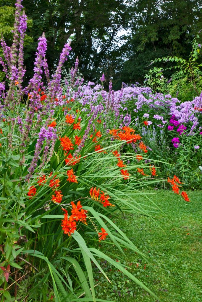 tips voor een bloementuin