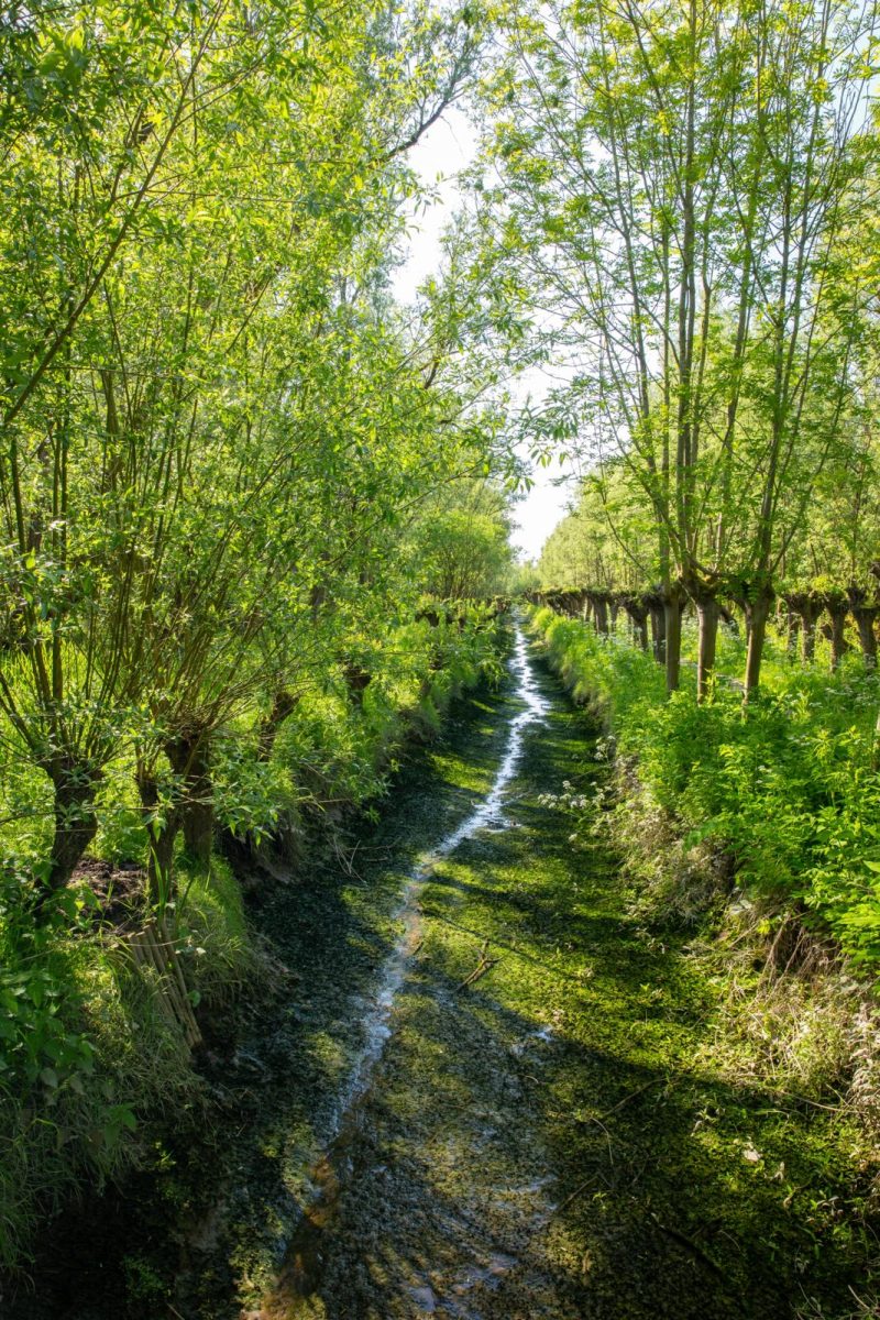 Wandelroute maas