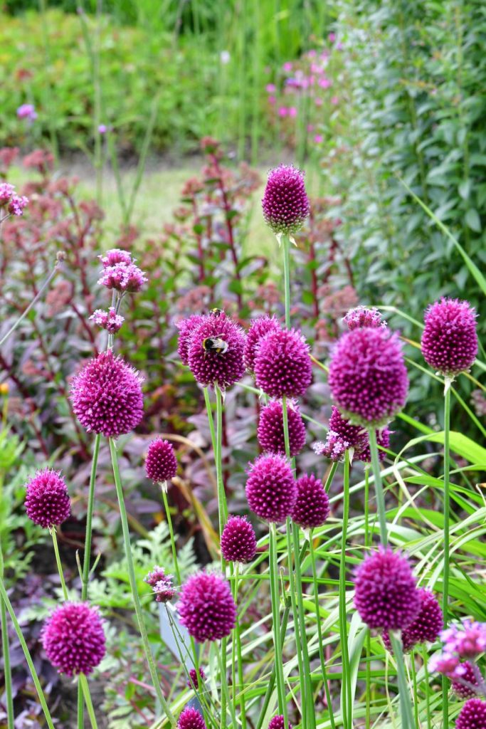 gemakkelijke tuin