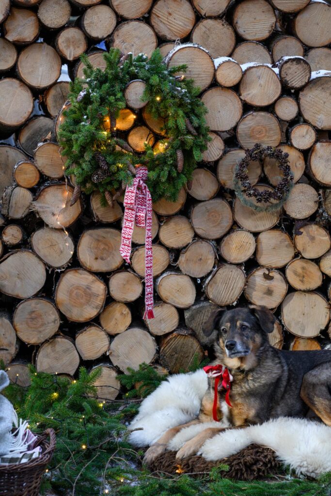 krans van dennentakken