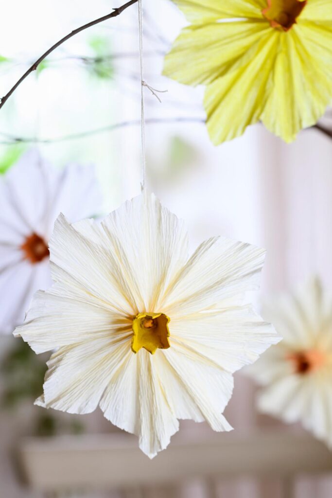 narcis van papier